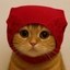 Pussy Icon
