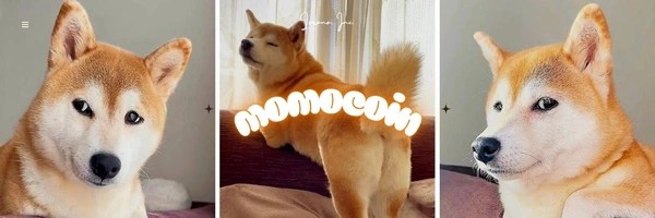 Momocoin Token Header