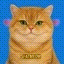 BIG FAT CAT Icon