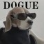 DOGUE Icon
