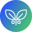 Truli Icon