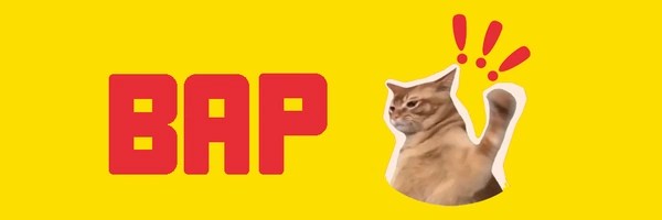 bap Token Header