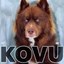 KOVU Icon
