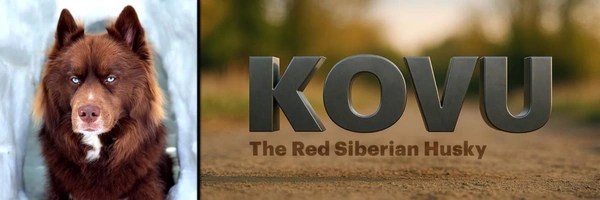KOVU Token Header