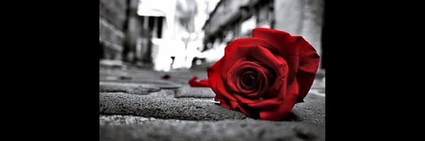 In The Big 2025💔🥀 Token Header