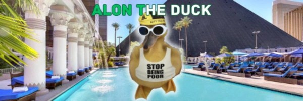Alon the Duck Token Header