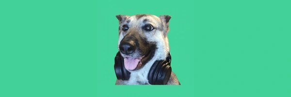 The Streamer Dog Token Header