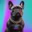 Solana The Dog Icon