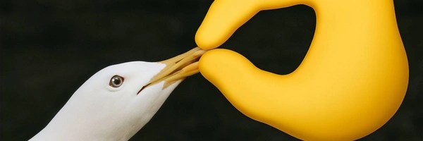 shut your bitch ass up Token Header