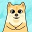 SHIBU Icon
