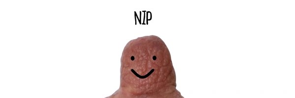 nip Token Header