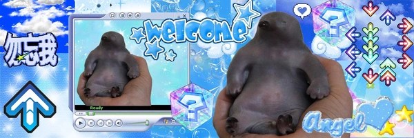 Steve Token Header