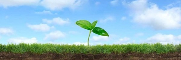 Plant Token Header