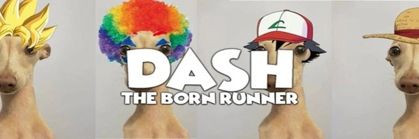 The born runner Token Header