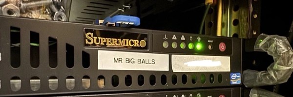 Edward Coristine Token Header