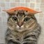 Cat wif Crab  Icon