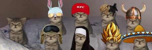 The Memeable Cat Token Header