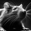 Darwin Mouse Icon