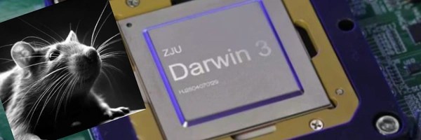 Darwin Mouse Token Header