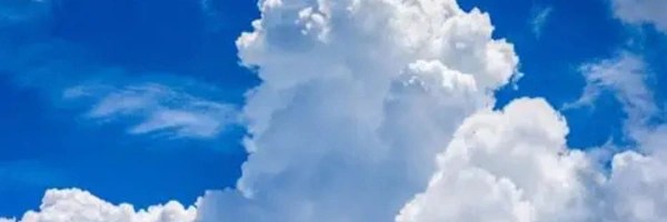 Wizibara Token Header
