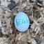 the most watched egg Icon
