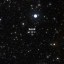 bought a star and named it bonk Icon
