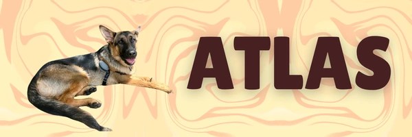 Atlas Token Header