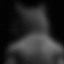 locked inu Icon