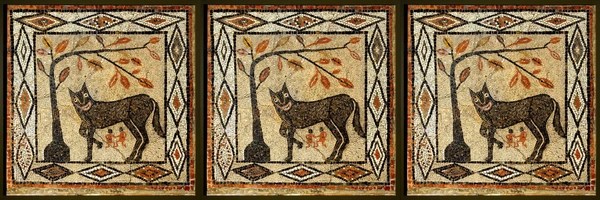 Dogenarii coin Token Header