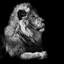 The Lion Icon