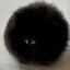 HOMUNCULUS DOG Icon
