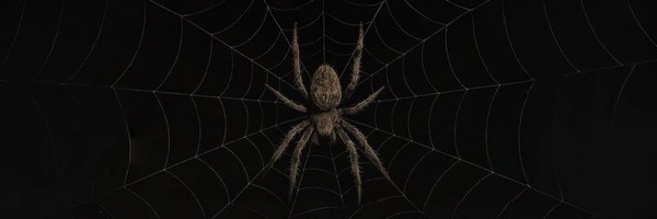 The Last Horrorween Token Header