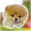 Boo Icon