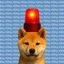 ninu ninu ninu ninu ninu ninu Icon