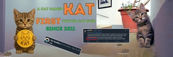 First Twitter Cat Token Header