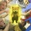 1 dog can change your life Icon