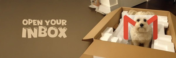 dog in box Token Header