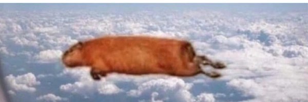 Capybara's Home Token Header