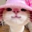 googoogaagaacat Icon