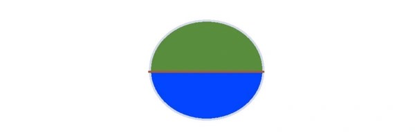 Pepe Coin Token Header