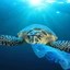 Unbagging The Ocean Icon