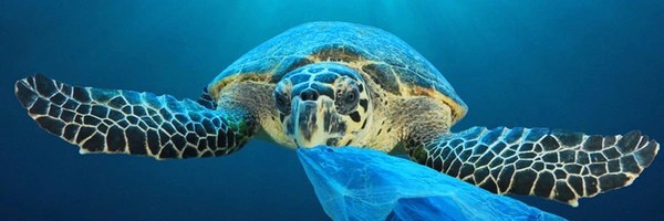 Unbagging The Ocean Token Header