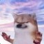trust me bro Icon