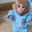 monke Icon