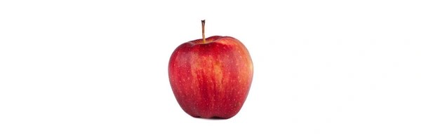 apple Token Header