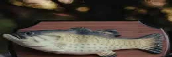 First AI Fish Token Header