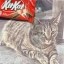 Remember KitKat Icon