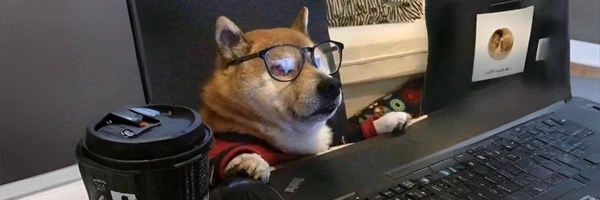 Degen Inu Token Header