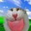 miao Icon