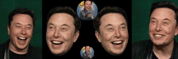 Elon Troll Face Token Header